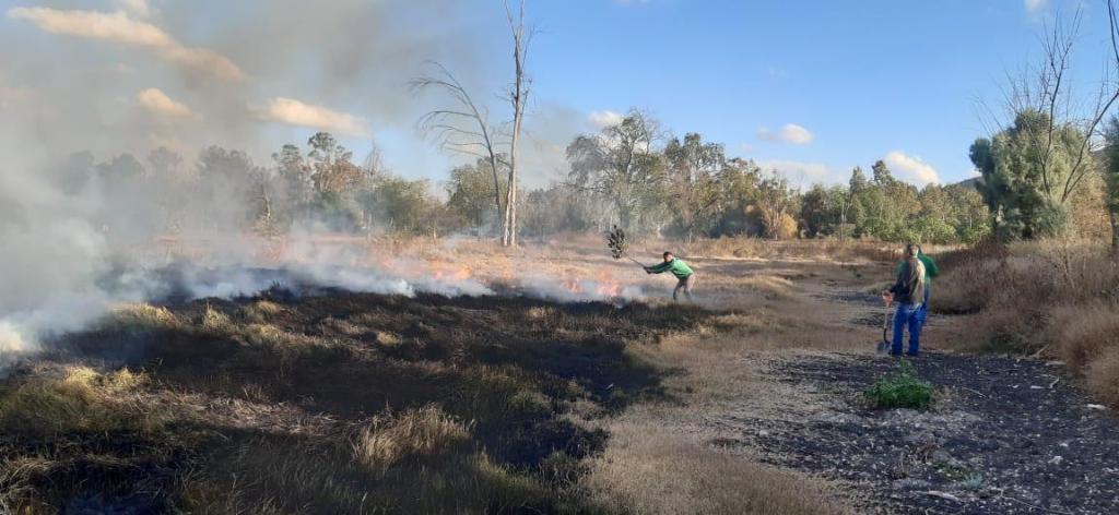 Controlado el incendio en el parque Tangamanga&nbsp;1