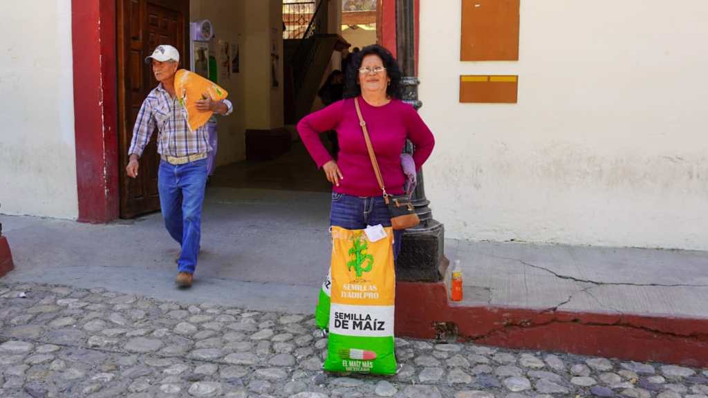 El estado amplía apoyo a las y los potosinos para cultivar maíz de&nbsp;calidad