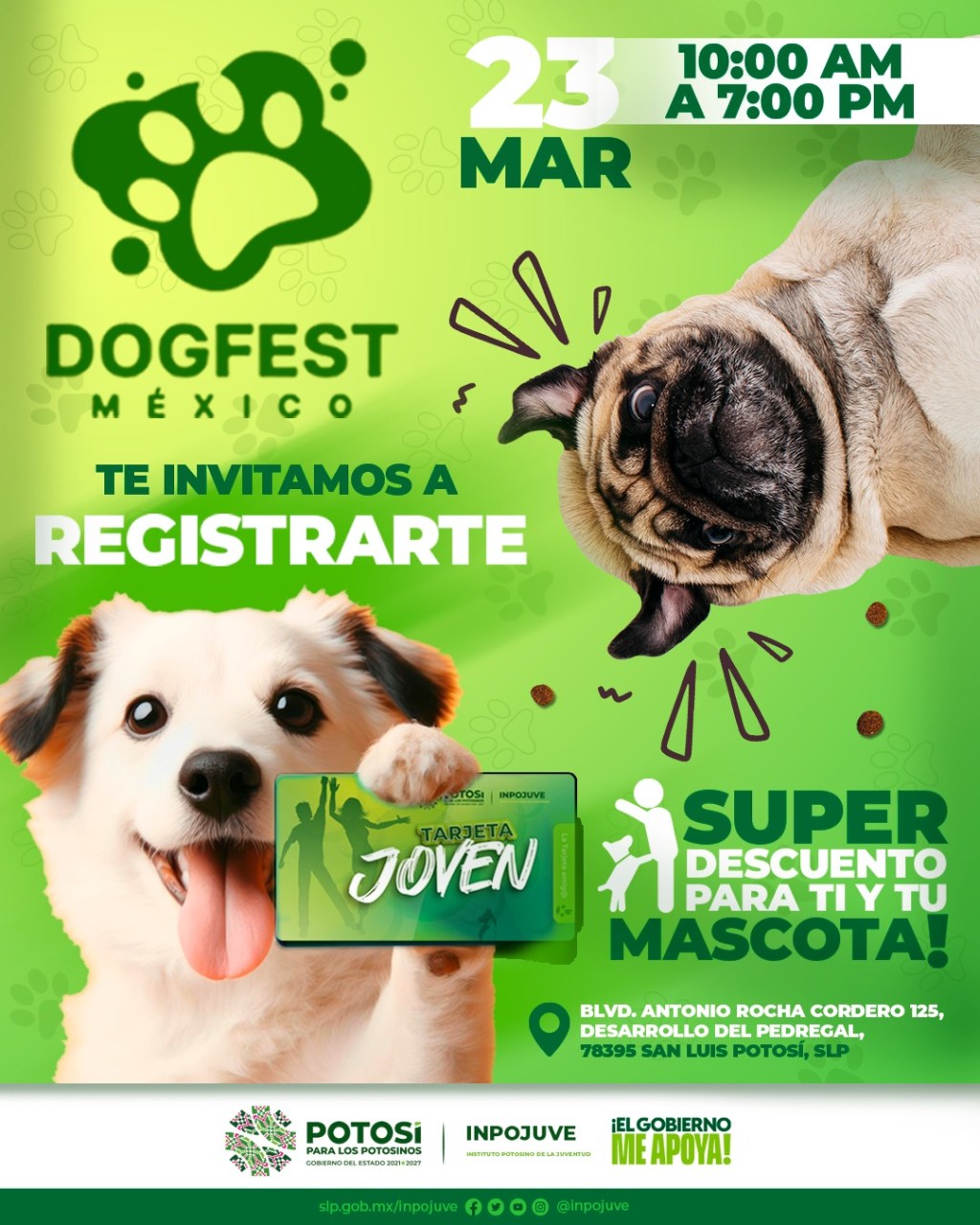 Gobierno Estatal amplia apoyo de Tarjeta Joven con beneficio para&nbsp;mascotas