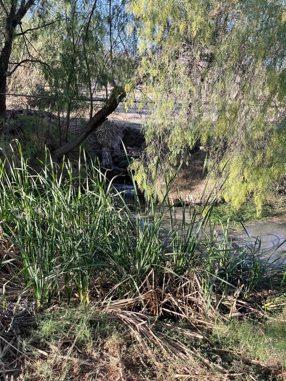 Plantas tratadoras de agua del Tangamanga son operadas por&nbsp;interapas:CEA