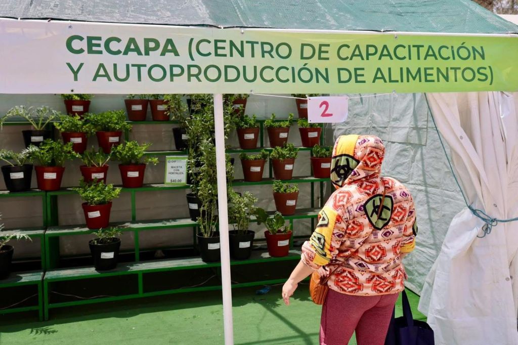 Gobierno Estatal brinda asesoría y apoyo a familias para producción de&nbsp;alimentos