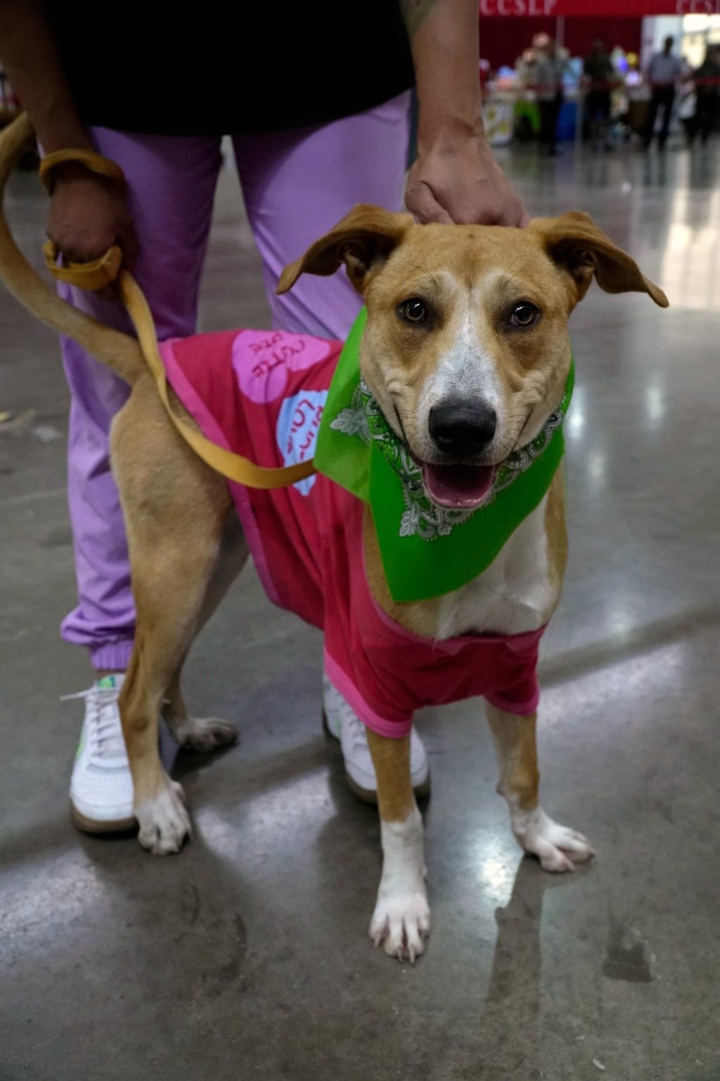 Gobierno estatal amplia beneficios y apoyo con la Tarjeta&nbsp;Joven