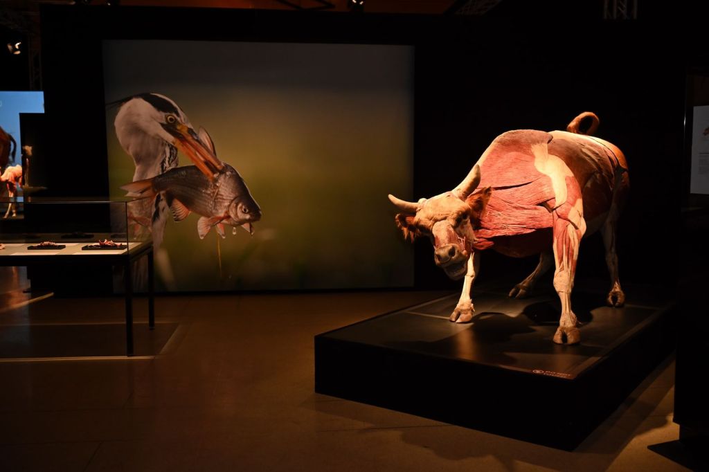 Vive y disfruta de una gran agenda&nbsp;cultural