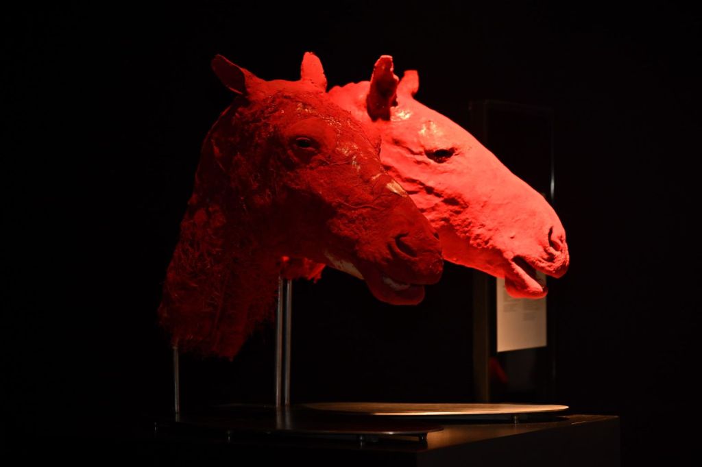 Gobierno Estatal invita a vivir un fin de semana de cultura y&nbsp;diversión