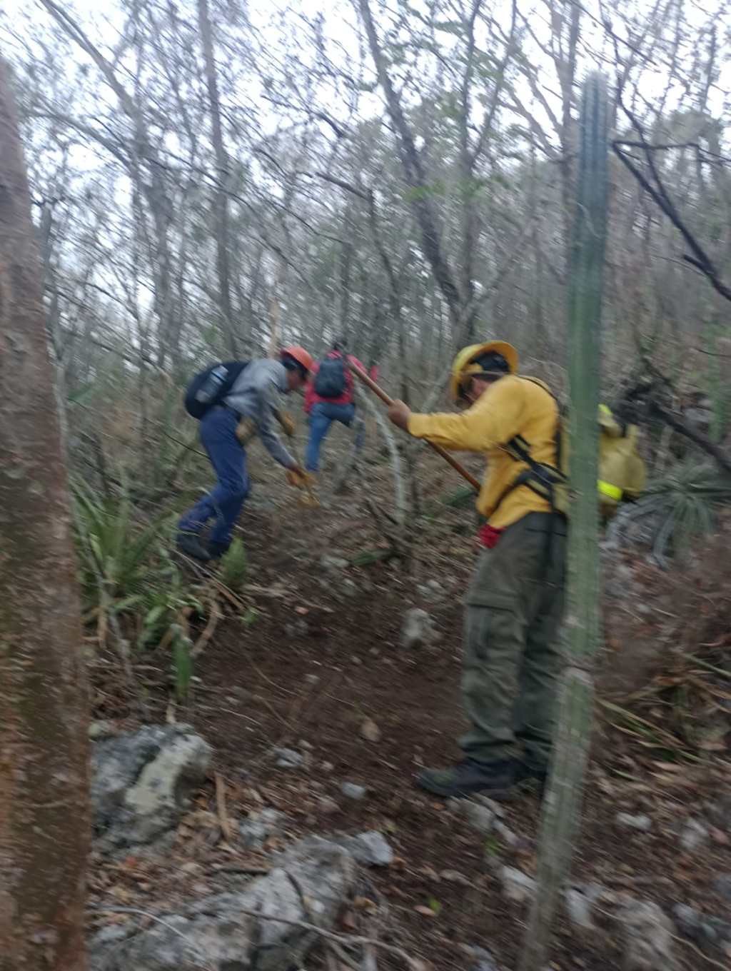 Comité del manejo de fuego trabaja en incendios&nbsp;forestales