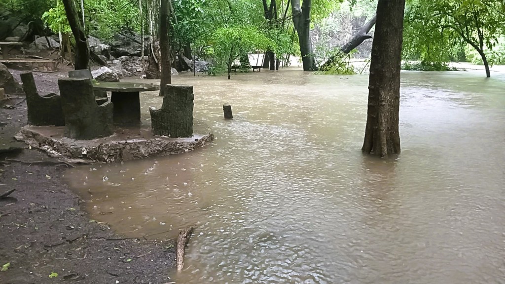 Entrada sin título 7979