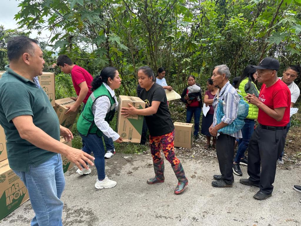 Entrada sin título 8425