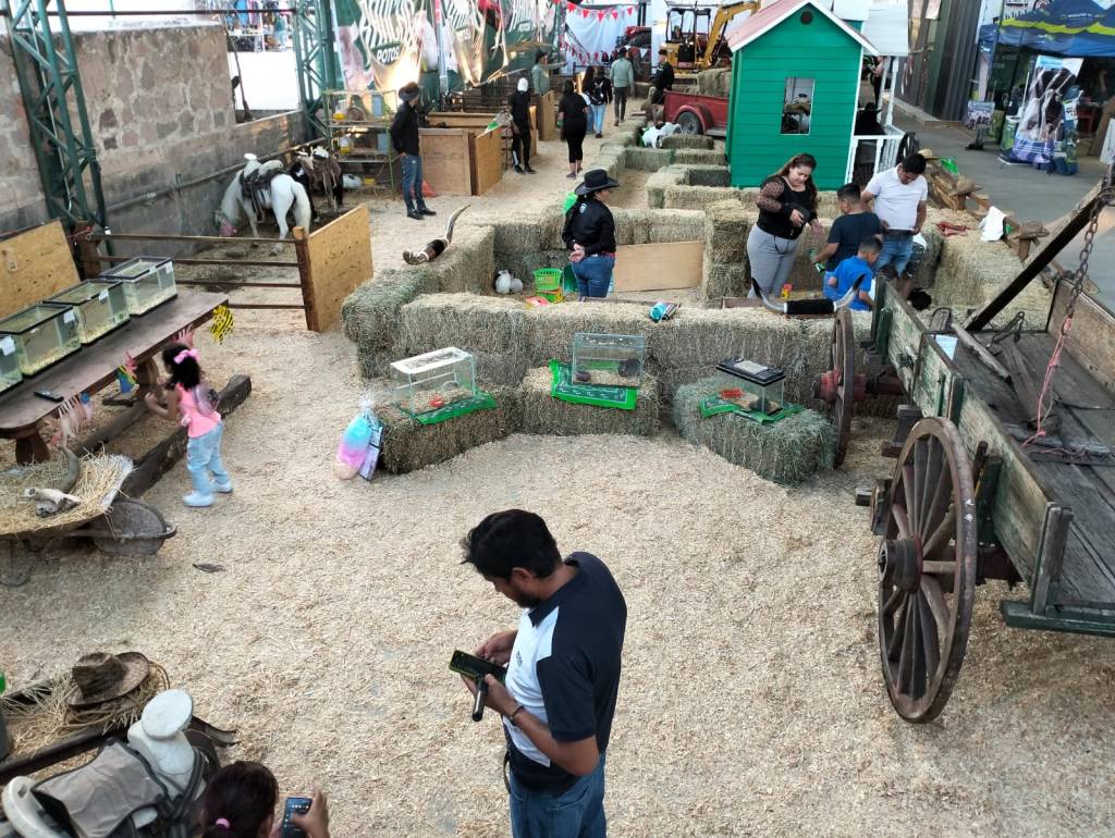 Entrada sin título 10014