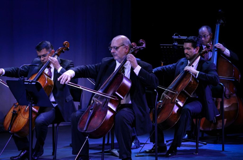 Entrada sin título 11171