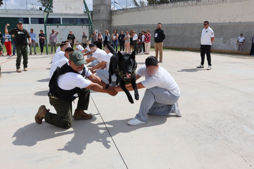 Promueven prevención del maltrato animal en centro&nbsp;juvenil