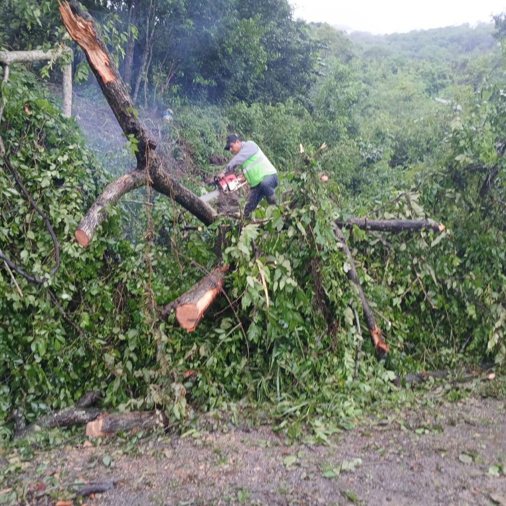 GOBIERNO ESTATAL RETIRA DERRUMBES POR LLUVIAS EN&nbsp;CARRETERAS