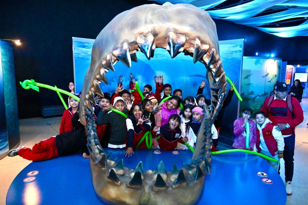 RICARDO GALLARDO IMPULSA LA CIENCIA Y CULTURA CON LA EXPO&nbsp;“TIBURONES”