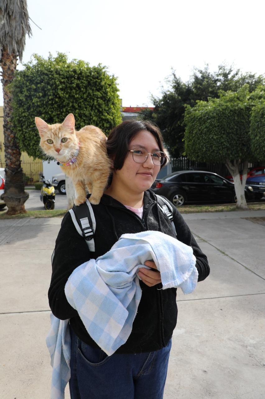 PROGRAMA “VISITANDO CORAZONES” AMPLÍA ATENCIÓN CON ESTERILIZACIONES DE MASCOTAS 