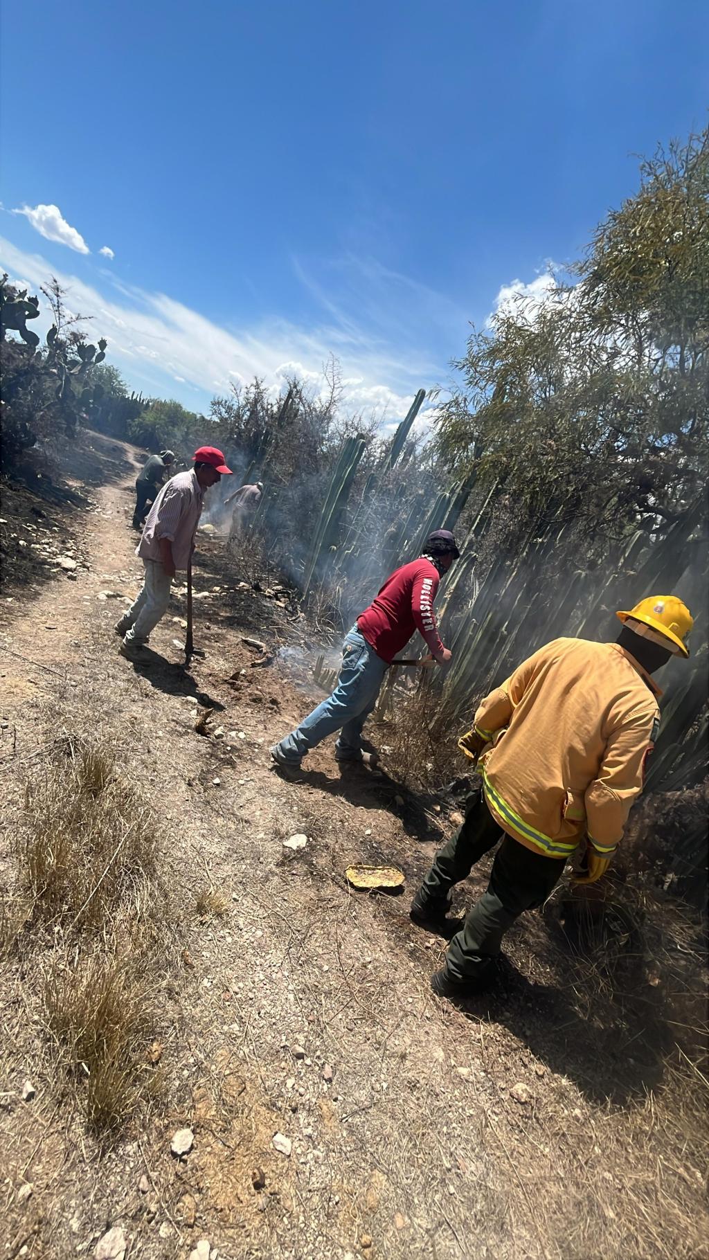 ESTADO REFUERZA RESPUESTA ANTE INCENDIOS&nbsp;FORESTALES