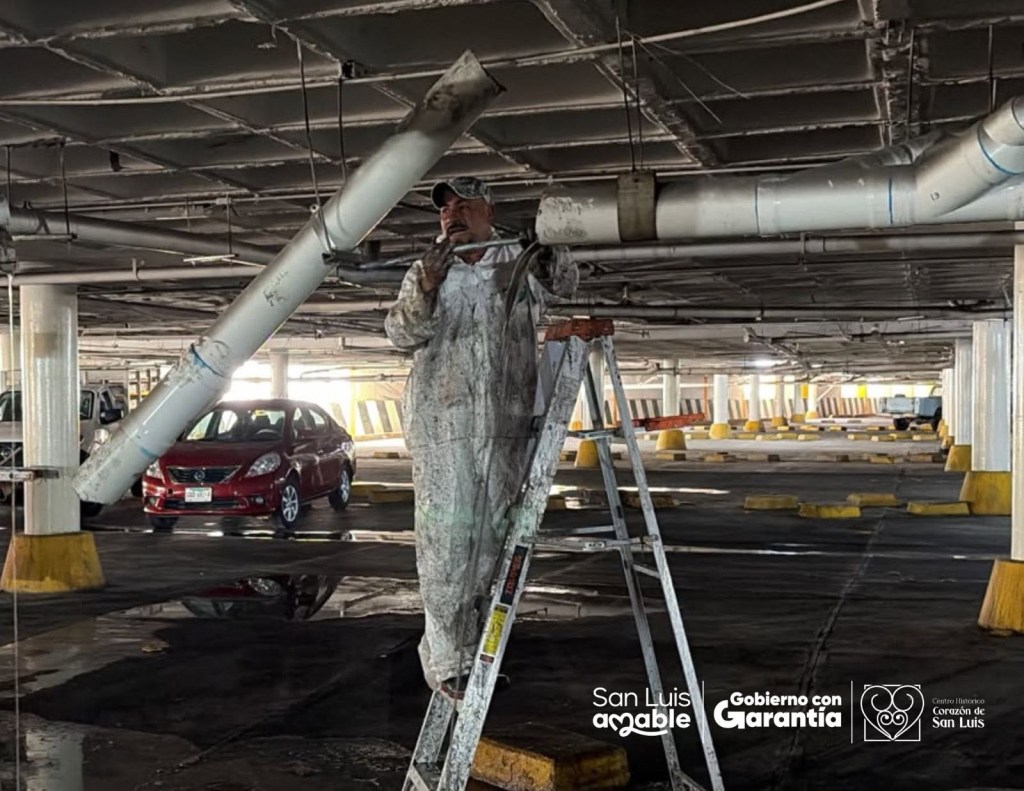 Gobierno de la Capital continúa con acciones de mejora a los mercados&nbsp;municipales