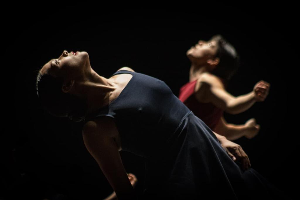 CEPRODAC CAUTIVA AL PÚBLICO EN EL FESTIVAL LILA LÓPEZ
