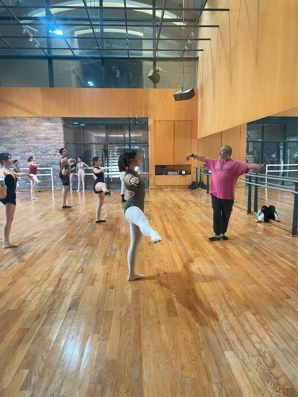 FESTIVAL INTERNACIONAL DE DANZA CONTEMPORÁNEA LILA LÓPEZ AMPLÍA LA FORMACIÓN&nbsp;ARTÍSTICA