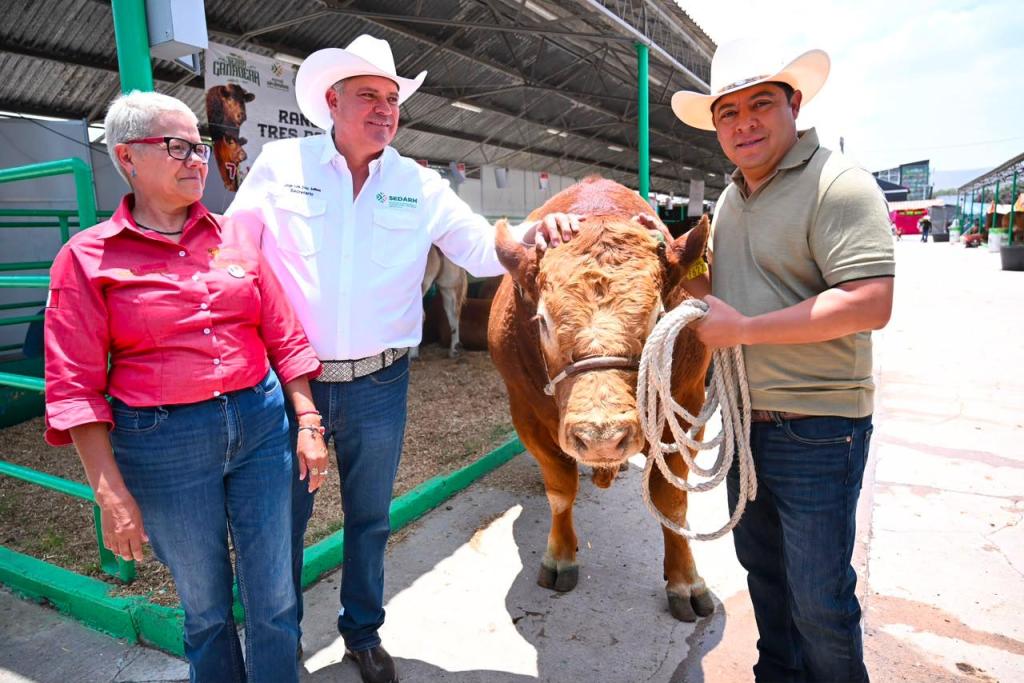 FENAPO EXHIBE LO MEJOR DEL GANADO LIMOUSIN&nbsp;NACIONAL