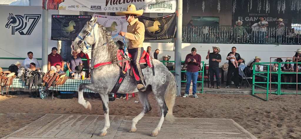 SAN LUIS POTOSÍ RECIBE CAMPEONATO NACIONAL DE CABALLOS BAILADORES EN FENAPO&nbsp;2026