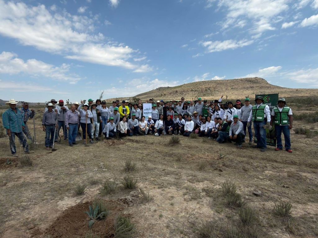 SEGAM MANTENDRÁ REFORESTACIÓN PERMANENTE EN LAS CUATRO REGIONES