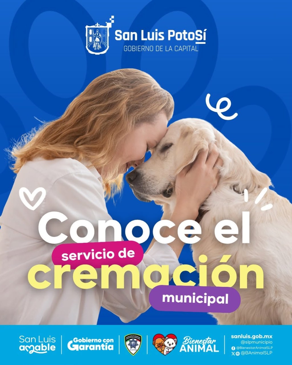 Ofrece Gobierno de San Luis Capital servicio de cremación para perros y&nbsp;gatos