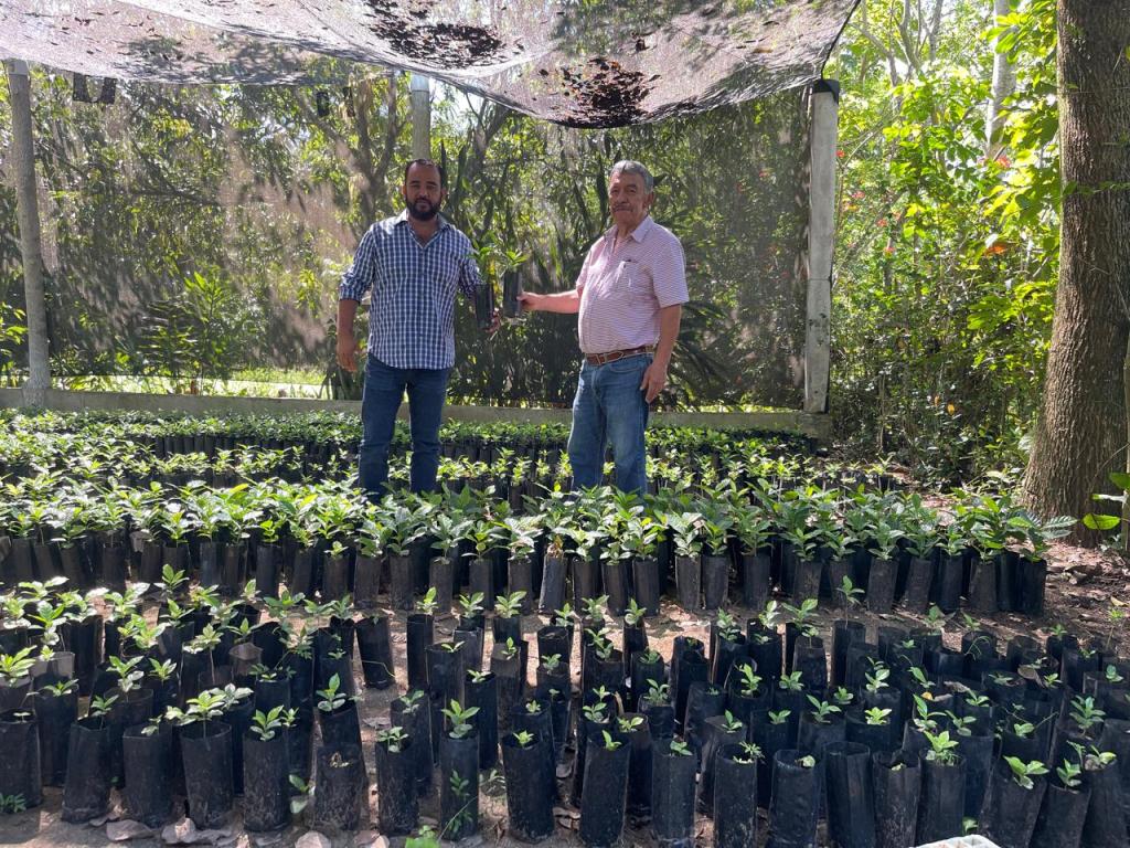 SAN LUIS POTOSÍ PRODUCE MÁS DE 100 MIL ÁRBOLES PARA REFORESTACIÓN Y PROYECTOS&nbsp;PRODUCTIVOS