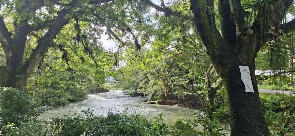 PROTECCIÓN CIVIL MANTIENE MONITOREO EN PARAJES DE LA HUASTECA POR&nbsp;LLUVIAS
